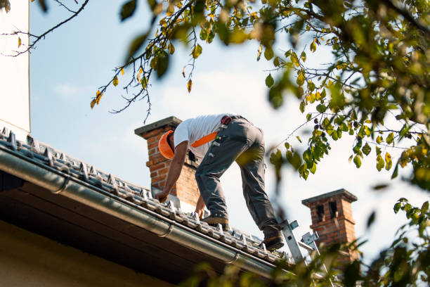 Best Best Roofing Contractors  in Rockwood, MI