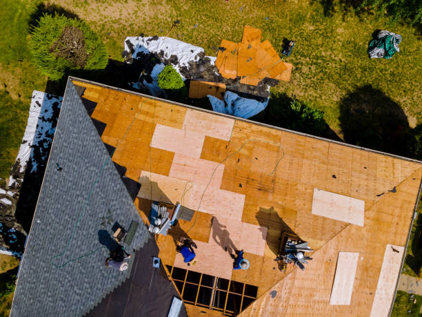 Best New Roof Installation  in Rockwood, MI