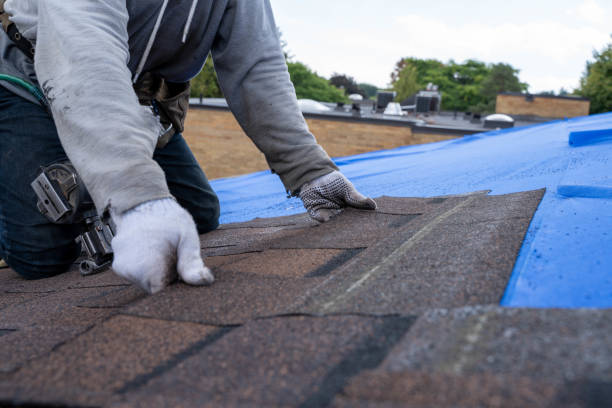 Best Metal Roofing Contractor  in Rockwood, MI
