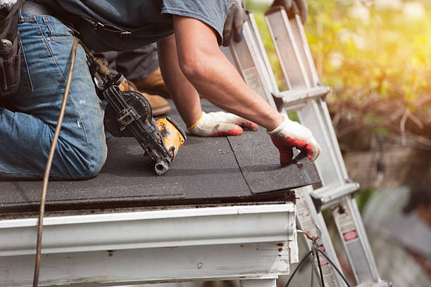 Best Shingle Roofing Installation  in Rockwood, MI