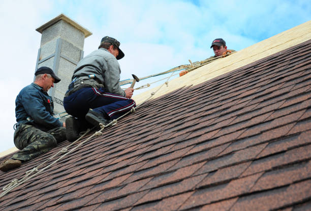 Best Emergency Roof Repair  in Rockwood, MI